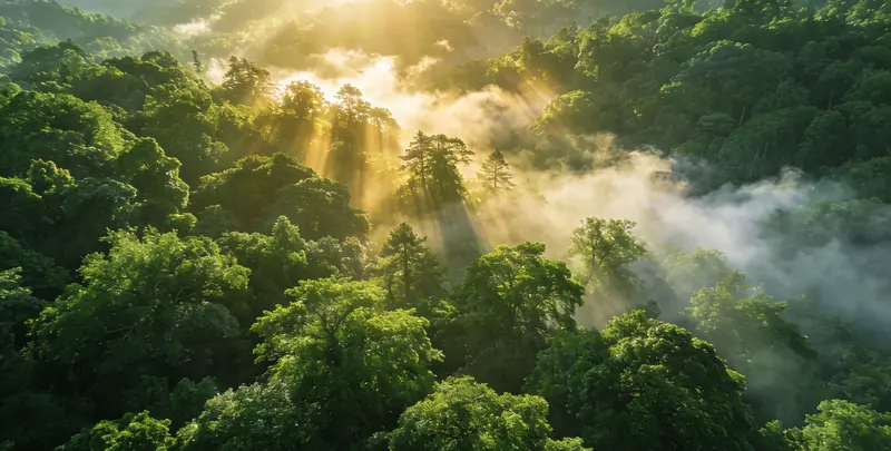 宣城肺癌8基因突变检测（组织）图片1