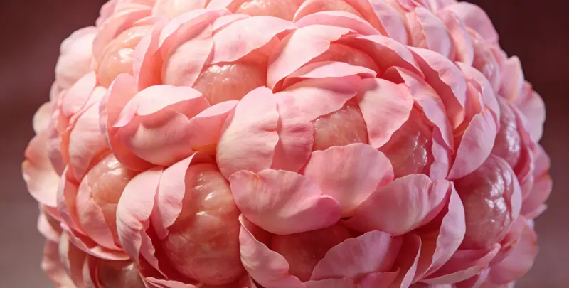 宣城BRCA1/2乳腺癌卵巢癌基因检测图片1